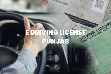 e driving license punjab